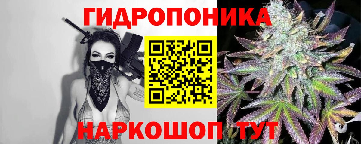 Конопля OG Kush Кумертау